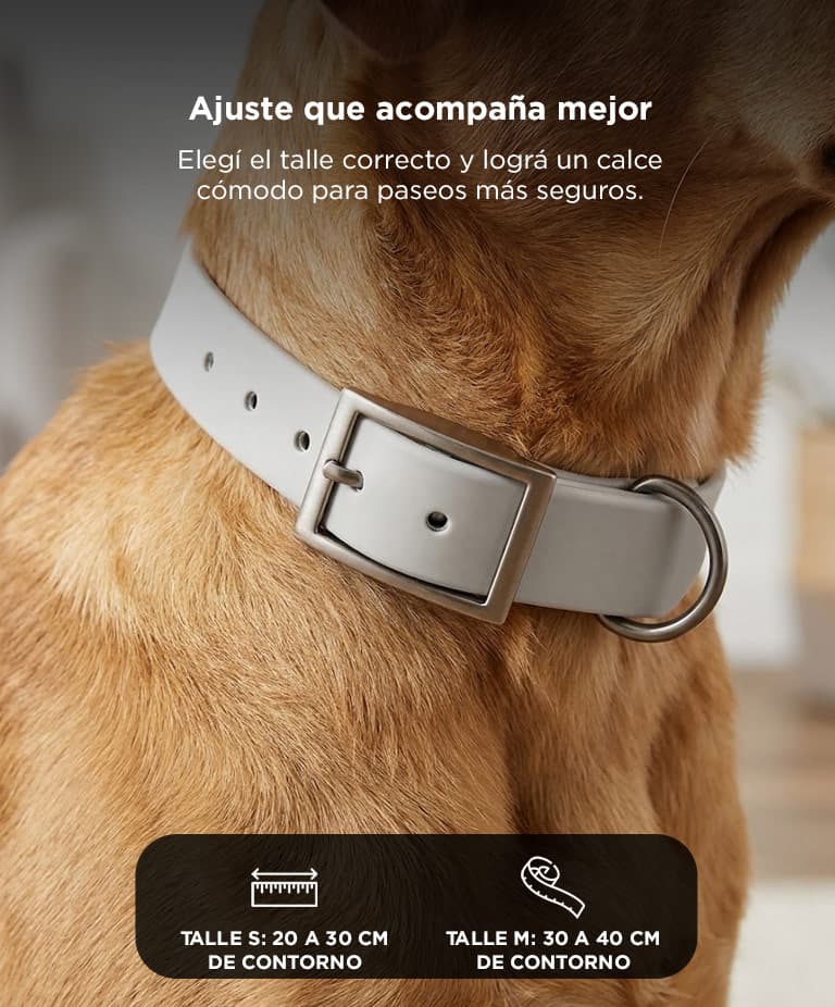 Imagen 3 del producto